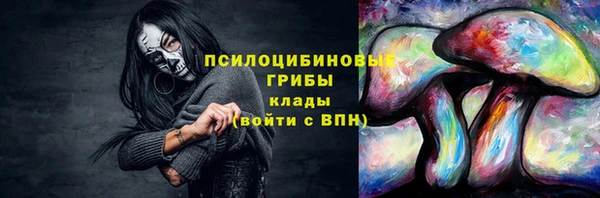 индика Вяземский