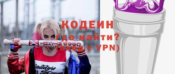 индика Вяземский