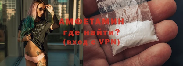 индика Вяземский