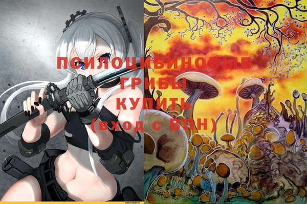 индика Вяземский