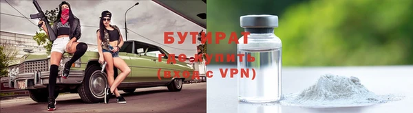 индика Вяземский