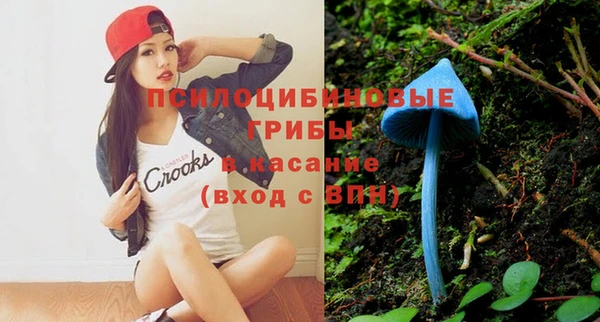 индика Вяземский