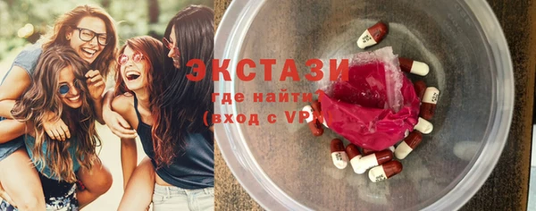 индика Вяземский