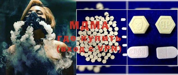 индика Вяземский