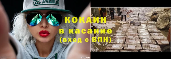 индика Вяземский